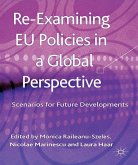 Re-Examining EU Policies from a Global Perspective
