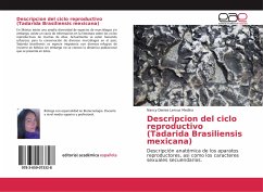 Descripcion del ciclo reproductivo (Tadarida Brasiliensis mexicana) - Lemus Medina, Nancy Denise