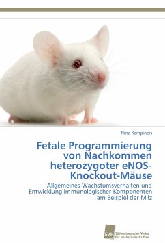 Fetale Programmierung von Nachkommen heterozygoter eNOS-Knockout-Mäuse - Kempiners, Nina