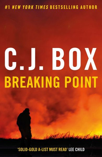Breaking Point (eBook, ePUB) Breaking Point (eBook, ePUB)