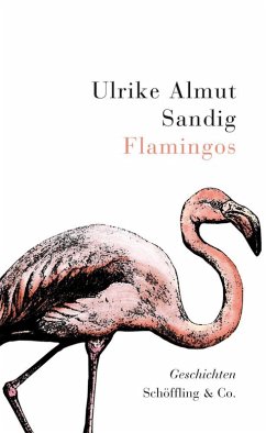 Flamingos (eBook, ePUB) - Sandig, Ulrike Almut