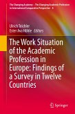 The Work Situation of the Academic Profession in Europe: Findings of a Survey in Twelve Countries (eBook, PDF)