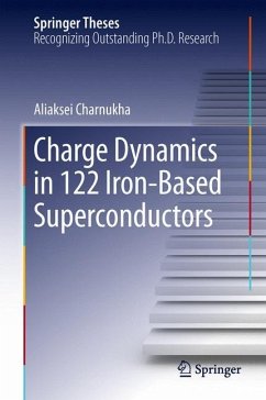 Charge Dynamics in 122 Iron-Based Superconductors - Charnukha, Aliaksei