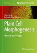 Plant Cell Morphogenesis - Bild 1