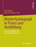 Waldorfpädagogik in Praxis und Ausbildung (eBook, PDF)