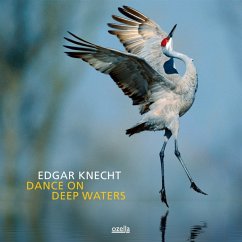 Dance On Deep Waters - Knecht,Edgar