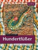 Hundertfüßer Hundertfüßer