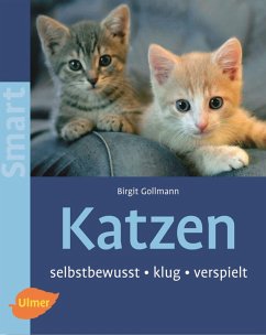 Katzen (eBook, PDF) - Gollmann, Birgit