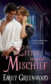 A Little Night Mischief (eBook, ePUB)