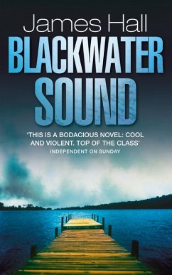 Blackwater Sound (eBook, ePUB) - Hall, James