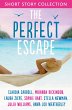The Perfect Escape (eBook, ePUB) - Bild 1