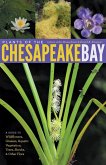 Plants of the Chesapeake Bay (eBook, ePUB)