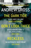 Andrew Gross 3-Book Thriller Collection 1: The Dark Tide, Don't Look Twice, Relentless (eBook, ePUB)