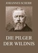 Die Pilger der Wildnis (eBook, ePUB) - Bild 1