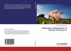 Molecular pathogenesis of Porcine Circovirus 2