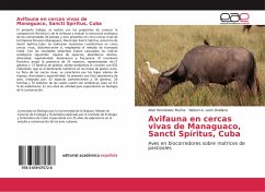 Avifauna en cercas vivas de Managuaco, Sancti Spíritus, Cuba