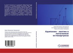 Adipokin - leptin w patogeneze osteoartroza - Zavodovskij, Boris Valer'evich;Simakova, Ekaterina Stanislavovna;Sivordova, Larisa Evgen'evna