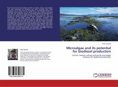 Microalgae and its potential for biodiesel production
