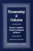 Phenomenology of Civilization