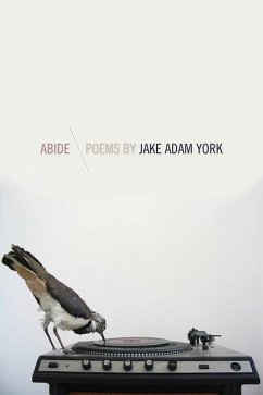 Cover Abide