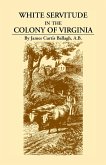 White Servitude in the Colony of Virginia