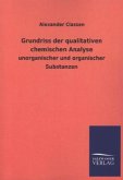 Grundriss der qualitativen chemischen Analyse