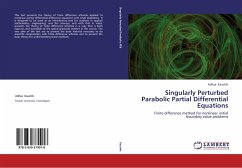 Singularly Perturbed Parabolic Partial Differential Equations - Kaushik, Aditya