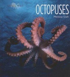 Octopuses - Gish, Melissa