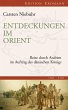 Entdeckungen im Orient (eBook, ePUB) - Bild 1