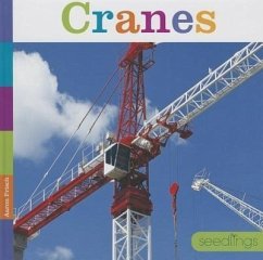 Cranes - Frisch, Aaron