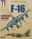 The F-16: Volume 2 - Fighting Falcon C to F Versions