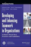 Developing and Enhancing Teamwork in Organizations (eBook, PDF)