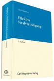 Effektive Strafverteidigung