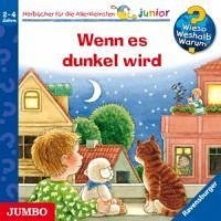 Wenn es dunkel wird / Wieso? Weshalb? Warum? Junior Bd.28