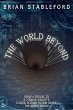 The World Beyond - Bild 1