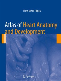 Atlas of Heart Anatomy and Development - Filipoiu, Florin Mihail