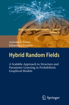 Hybrid Random Fields - Freno, Antonino;Trentin, Edmondo