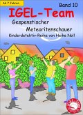 Gespenstischer Meteoritenschauer / IGEL-Team Bd.10 (eBook, ePUB) Gespenstischer Meteoritenschauer / IGEL-Team Bd.10 (eBook, ePUB)