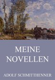 Meine Novellen (eBook, ePUB)