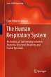 The Human Respiratory System - Bild 1