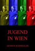 Jugend in Wien (eBook, ePUB)