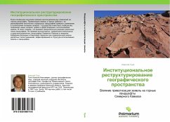 Cover Institucional'noe restrukturirowanie geograficheskogo prostranstwa