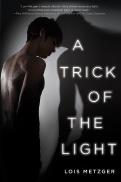 A Trick of the Light (eBook, ePUB) - Metzger, Lois