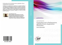 Evaluation de la Performance globale d'une coopérative financière - Léon, Jean Emmanuel