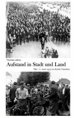 Aufstand in Stadt und Land - Lähns, Thomas