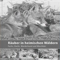 Räuber in heimischen Wäldern - Borrmann, Klaus