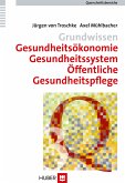 Grundwissen Gesundheitsökonomie, Gesundheitssystem, Öffentliche Gesundheitspflege (eBook, PDF)