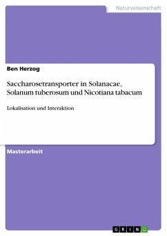 Saccharosetransporter in Solanacae, Solanum tuberosum und Nicotiana tabacum - Herzog, Ben