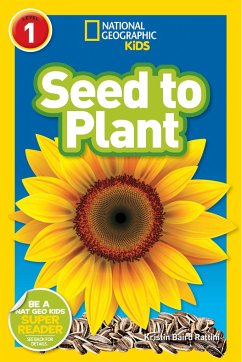 Seed to Plant - Rattini, Kristin Baird