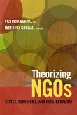 Theorizing NGOs: States, Feminisms, and Neoliberalism